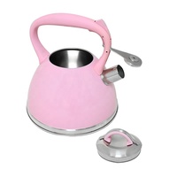 Bouilloire sifflante 3,0 L en acier inoxydable pour cuisinière, poignée en acier, écologique, compatible lave-vaisselle, nouveau design, pour la maison - Meilleure vente