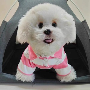 Summer Striped Polo Shirt <b>For</b> <b>Small</b> <b>Dogs</b> Lightweight Pet <b>Clothes</b> Red Green Blue Pink Stripes T-Shirt <b>For</b> Puppies - Product Image 3