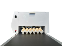 Impresoras automáticas de inyección de tinta Máquina de impresión de fecha TIJ Impresora de inyección de tinta de huevo de seis boquillas de alta definición Máquina de impresora de huevos