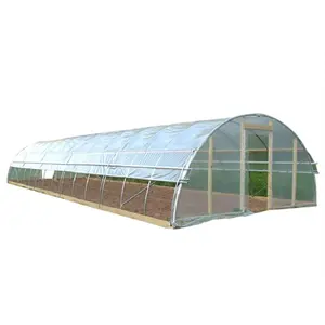 Clear Plastic Film Industrial Greenhouse 50mic in Stock Low Cost Single Span Tunnel Vegetable Used for Sale