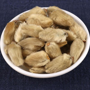 Venta al por mayor Xin Yi Hua Materiales Medicinales chinos de alta calidad variedad <span class=keywords><strong>Mulan</strong></span> Magnolia completa - Product Image 4