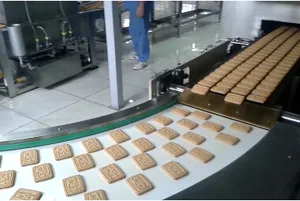 Linea di produzione di macchine per la produzione di biscotti croccanti completamente automatiche