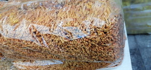 Champignon orange entier séché pour usage médicinal - Product Image 2