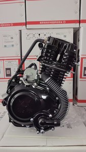 Motor de Motocicleta/Triciclo Nuevo y Original [Eje Medio 300, Refrigerado por Agua, 1 Cilindro] Garantía de Fábrica Original, Nuevo y de Primera Calidad - Product Image 3