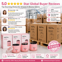 Chauffe-cire Wax Pro Pink Mini 200ml, chauffe-cire dépilatoire à fusion rapide pour le corps et les mains, pot antiadhésif, 110-220V, garantie 1 an