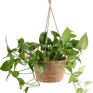 Panier <span class=keywords><strong>de</strong></span> rangement intérieur/extérieur en macramé pour plantes, jardinière suspendue avec corde <span class=keywords><strong>de</strong></span> jute, support <span class=keywords><strong>de</strong></span> <span class=keywords><strong>pot</strong></span> <span class=keywords><strong>de</strong></span> fleurs tissé, cintres décoratifs pour la maison - Product Image 6