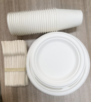 Assiettes jetables résistantes et compostables - Assiettes en papier biodégradable en canne à sucre, écologiques, imperméables et résistantes à la graisse pour les fêtes