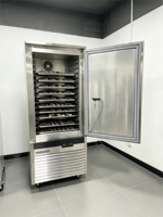 Congélateur à choc commercial 15 plateaux à température unique, refroidissement par ventilateur, dégivrage automatique, congélateur vertical pour congélation rapide de la viande