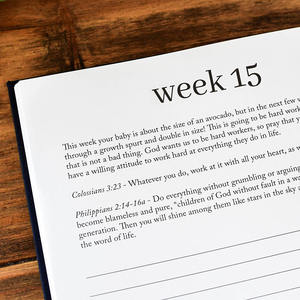 Nouvelle prière de <span class=keywords><strong>grossesse</strong></span> personnalisée une minute le matin <span class=keywords><strong>grossesse</strong></span> après la perte méditations guidées affirmations et gratitude Journal - Product Image 5