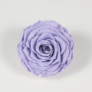 Nouvelle Collection 2021 Grande Rose Fraîche Conservée de 9-10 cm Qualité A Vente en Gros Durée de Conservation de 5 Ans - Product Image 5