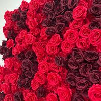 Mur de fleurs artificielles 3D en soie rose bordeaux haute densité avec support métallique pour mariage, fête ou photomaton