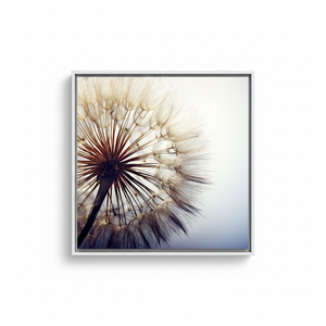Dandelion Close-Up Canvas Print: Minimalist Botanical Wall Art,WHITE <b>FRAMED</b> CANVAS - Product Image 2