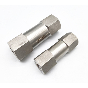 Katup cek 1/8 "1/4" 3/8 "1/2" 3/8 "BSP NPT perempuan ke laki-laki Inline cek katup 304 baja anti karat - Product Image 6