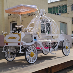 Voiture de mariage électrique de haute qualité, calèche à citrouille, véhicule de tourisme, nouveau design, charrette à chevaux en vente pour les touristes - Product Image 1