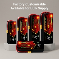 Batterie de drone 3S 4S 6S 8S 12S 30000mAh pour surveillance de chantier, semi-solide, haute efficacité