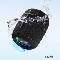 Hopestar P20 Mini Enceinte Portable Étanche pour Extérieur, Sans Fil, Sportive, Son Surround 5W, Fonction Téléphone Mobile, Application, Ordinateur