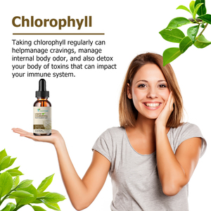 Factory Direct Chlorophyll Liquid Drops Support Skin Health Chlorophyll Liquid Drink Manage Internal Body Odor Healthcare - Product Image 5