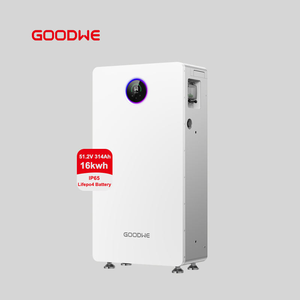 Batterie LiFePO4 <span class=keywords><strong>Goodwe</strong></span> GW16.1-BAT-LV-G10 16 kWh 51,2 V 314 Ah IP65 10 000 cycles CAN pour stockage d'énergie solaire domestique - Product Image 1