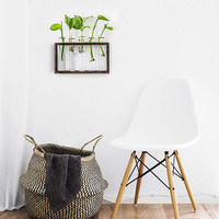 Planteur en verre de bureau, 5 tubes essai de fleurs, support en bois, Terrarium pour plantes hydroponiques, vente en gros, offre spéciale