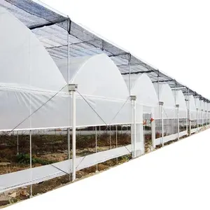 FM alta tecnologia inteligente cultivo automático multi span filme plástico morango hidropônico crescente estufa china