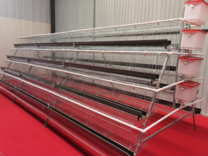 Cage à poules pondeuses automatique de type A H, 3 niveaux, 4 étages, galvanisée, pour 10 000 à 20 000 poules, cages en batterie pour poules pondeuses - Product Image 2