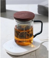 Tasse à thé en verre artisanal résistant à la chaleur avec infuseur et couvercle 400 ml, design minimaliste pour thé en vrac – Vente en gros