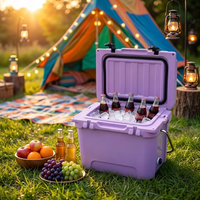 Glacière rotomoulée 20QT avec logo personnalisé, glacière en LLDPE avec paroi épaisse en PU et protection UV pour le camping