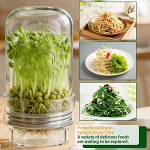 Kit de culture de pousses de haricot mungo en gros, germeur de comptoir réutilisable, système de germination domestique pour la cuisine - Product Image 5