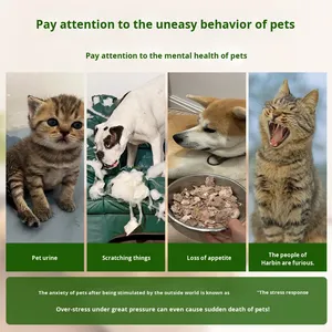 Colgante Calmante <span class=keywords><strong>de</strong></span> Feromonas Universal para Perros y Gatos <span class=keywords><strong>de</strong></span> Silicona, Anti Estrés, para Aliviar las <span class=keywords><strong>Emociones</strong></span> <span class=keywords><strong>de</strong></span> las Mascotas, Pedidos OEM y ODM - Product Image 4