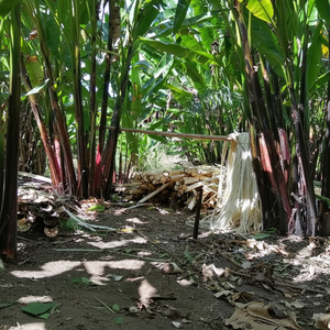 Artesanías y textiles de fibra de plátano de origen ético para un futuro más verde - Product Image 1
