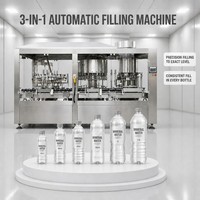 Machine de remplissage et de bouchage automatique clé en main à haut rendement pour bouteilles d'eau potable pure en PET et en verre