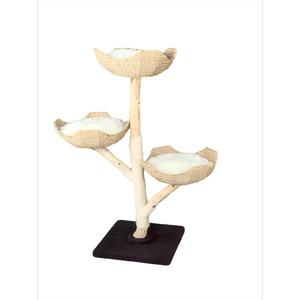 شجرة القط الحديثة متعددة المستويات الخشب الطبيعي ، تصميم فريد من نوعه ، سهلة التسلق للقطط الصغيرة والقديمة - Product Image 3