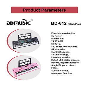 <span class=keywords><strong>Piano</strong></span> électronique portable BD-612 <span class=keywords><strong>à</strong></span> 61 touches, instrument <span class=keywords><strong>de</strong></span> musique d'entrée <span class=keywords><strong>de</strong></span> gamme, clavier musical, jouet musical, fabrication sur mesure, OEM/ODM disponible - Product Image 3