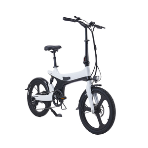 20インチマグネシウム合金折りたたみEバイクOEM | 350Wモーター隠し取り外し可能バッテリー | 7スピードLCD
