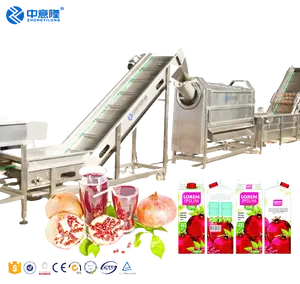 Fábrica automática de línea de producción de jugo de Granada para obtener Granada de agua