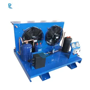 RUIXUE – unité de condensation de congélateur à entrée ouverte de type 4 hp, refroidisseur de chambre froide de réfrigération
