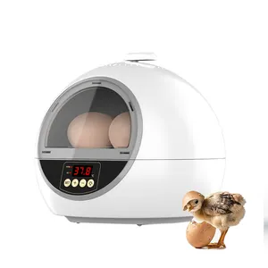 Incubateur d'œufs de caille de petite taille, capacité de 18 œufs, machine automatique de retournement d'œufs, prix bon marché