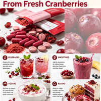 Herblink Pure Natuurlijk 100% Cranberry Extract Wateroplosbaar Gefreeze-droogd Cranberry Fruit & Sap Poeder