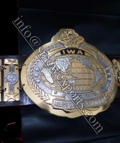 Iwa World Junior Jr. MID heavyweight ชุดถุงมือชกมวย, ชุดกระเป๋า - Product Image 2