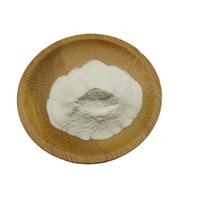 Natuurlijk gesproeid gedroogd puur lychee fruitpoeder, hoge oplosbaarheid, bulk, voedingskwaliteit, grondstof