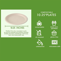 150 pièces Heavy Duty 100% Compostable Blanc 10 pouces Assiettes Jetables Eco Sugarcane Fiber Biodégradable Assiettes Bagasse
