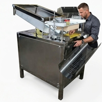 Décortiqueuse d'œufs de caille - Machine entièrement automatique pour peler et dénoyauter les œufs de caille