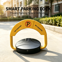 Ascenseur de stationnement de sécurité automatique télécommandé, étanche, en acier inoxydable, capacité de charge de 50 lb, couleur jaune/noir, pour usage privé