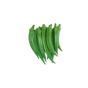 Nouvel arrivage d'okra (Lady Finger) de qualité fraîche et naturelle, destiné aux exportateurs indiens. - Product Image 5