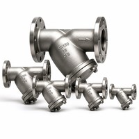 Saringan Y Langsung dari Pabrik, Stainless Steel 304, Ujung Berflens, Filter Layar 80 Mesh untuk Perlindungan Pipa Air, Minyak, Gas, dan Uap