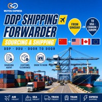Agent maritime commercial DHL Chine Qingdao pour le commerce général, l'approvisionnement de fret et l'expédition DDP vers le Canada, les États-Unis, l'Europe, le Royaume-Uni et la France