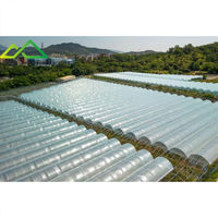 Hotsales grote multi-span PE enkellaags polyfolie kas voor commerciële tomaten- en aardbeienteelt