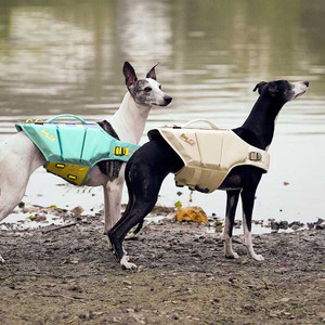 <span class=keywords><strong>Manteau</strong></span> de protection pour animaux de compagnie style sport d'été 2026 en EVA et polyester, réglable et imperméable, facilement transportable - Tailles XS à XL - Product Image 6