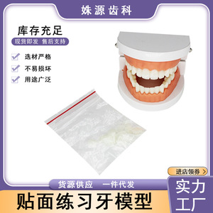 Modelo de Dientes para Práctica de Carillas Dentales, Restauración Estética Oral, Kit de Práctica de Carillas Totalmente Cerámicas (Modelo + 16 Carillas) - Product Image 5