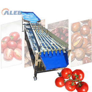 Machine de tri de fruits en acier inoxydable à haute efficacité, type convoyeur automatique, pour le classement des jujubes, tomates, pommes et mangues - Product Image 1
